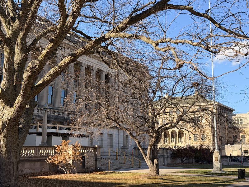 树丛中的巴斯科姆