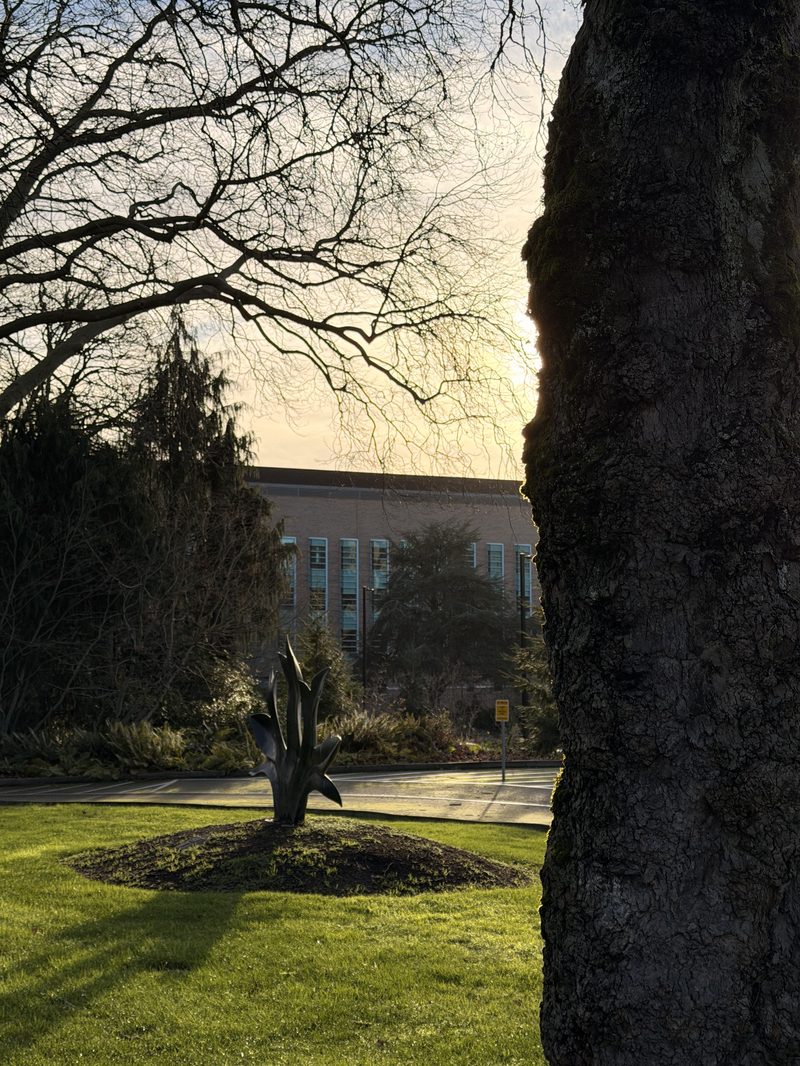 金色时分的雕塑